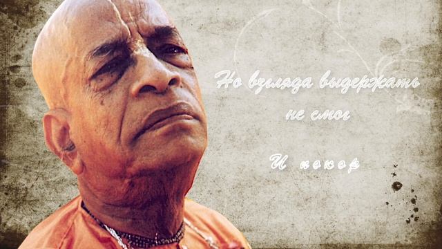 Цветы смотреть онлайн