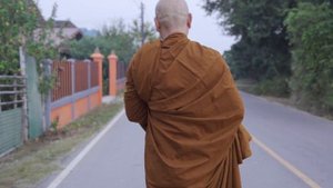 20711642-hd_1920_1080_25fps