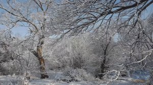 Заснеженные коридоры Марта (4K) (Переиздано)