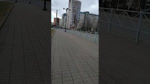 ЗОЖ дорожка