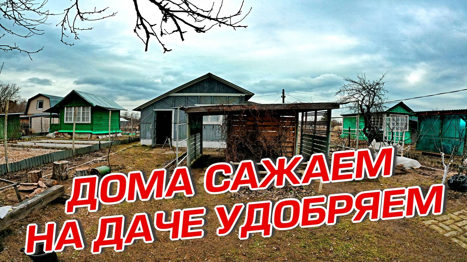 ДОМА САЖАЕМ НА ДАЧЕ УДОБРЯЕМ