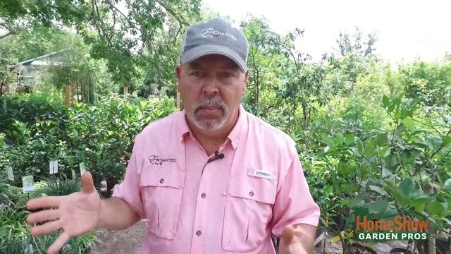 Leaking Sap смотреть онлайн