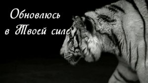 Сделай меня сильным