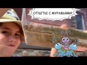 Муравьиная ферма своими руками + эксперименты