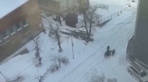 Жесть по-Владивостокски. Миссия: доставить гроб в морг- провалена