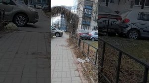 Дворы Антонова-Овсеенко