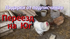 499ч🏡Операцию назначили/Подарки от подписчиков/Домашняя лапша/Дерутся