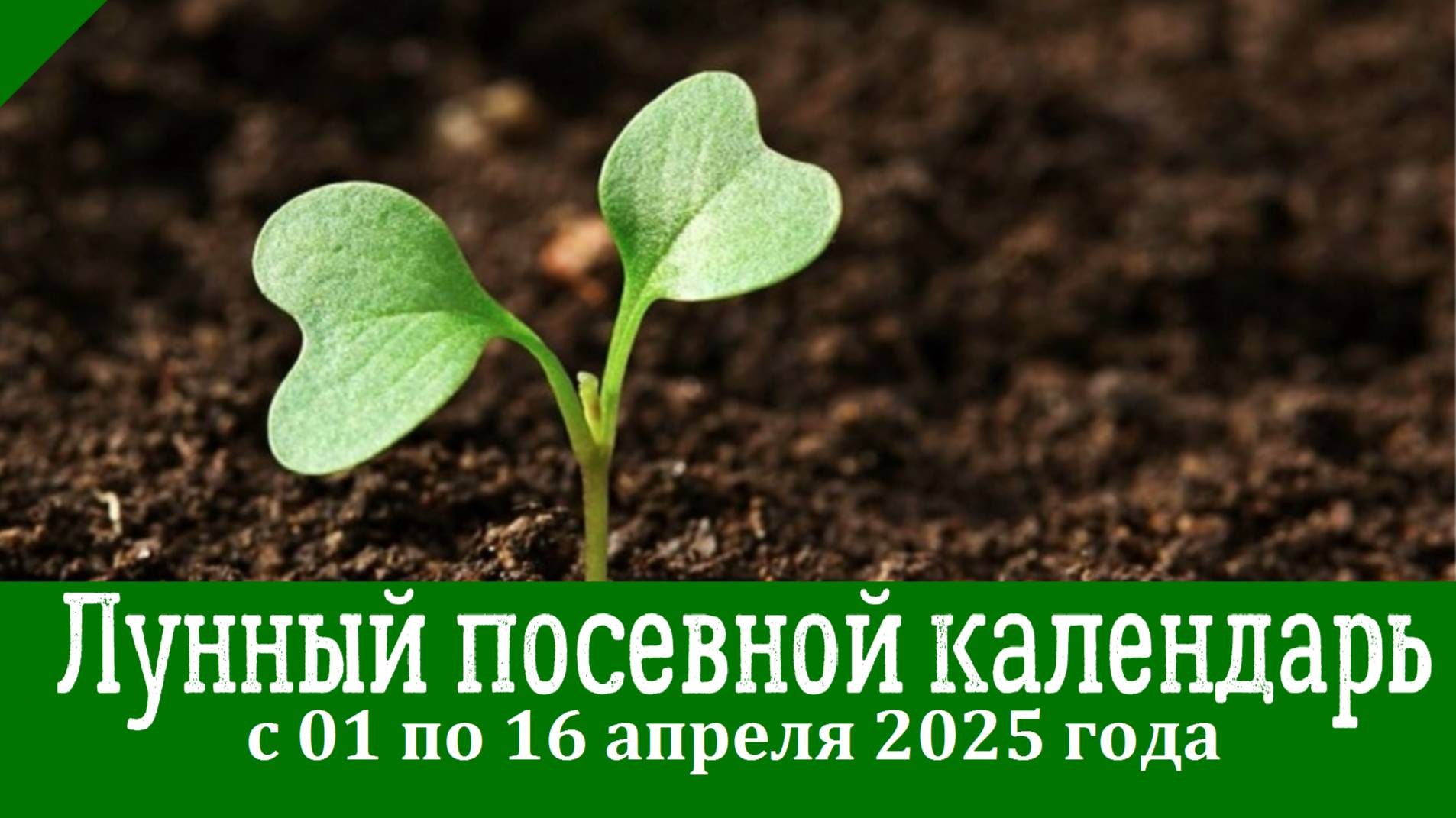 Лунный ПОСЕВНОЙ КАЛЕНДАРЬ садовода-огородника с 04 по 16 апреля 2025