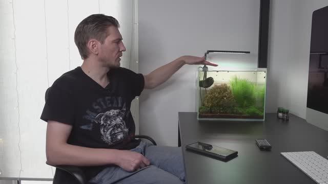 Green art Media. Аквариум с крышкой или без. Какой выбрать?