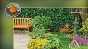 Натургарден- модный экологический сад *
