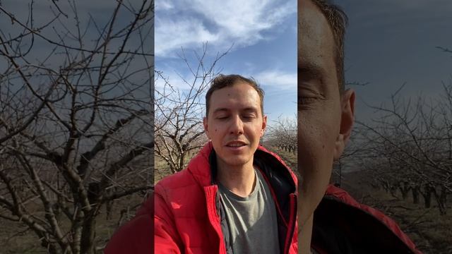 Как стать фермеров в наше время