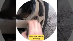 Подшипник Torque