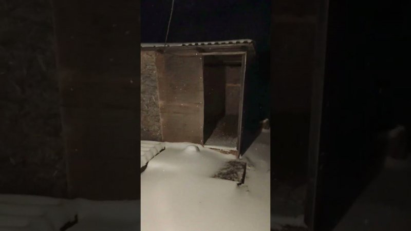 Зима наступила неожиданно и очень быстро) Намело за пару часов к утру❄️️❄️
