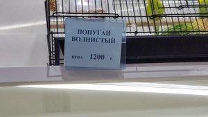 03.04.2025г. Прогулка в Сити Мол. пр. Октября г. Стерлитамак.