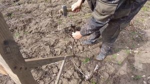 Закладка сада 280 деревьев. День 1.