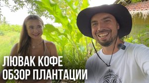 Лювак кофе на Бали: Истории, дегустация и кофейные тайны
