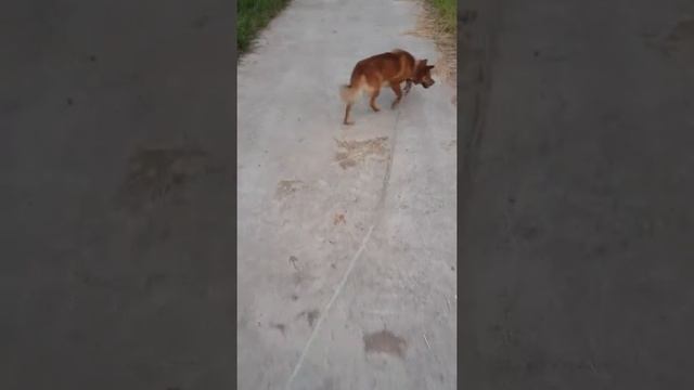 После работы корея смотреть онлайн