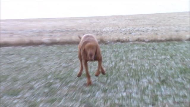 You and I || Nikol Březina смотреть онлайн