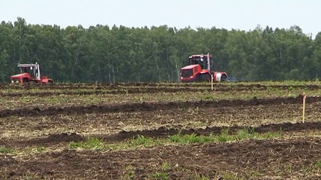 Команда Иркутского ГАУ приняла участие в областном Дне поля. смотреть онлайн