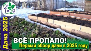 Всё пропало! Первый обзор дачи в 2025 году.