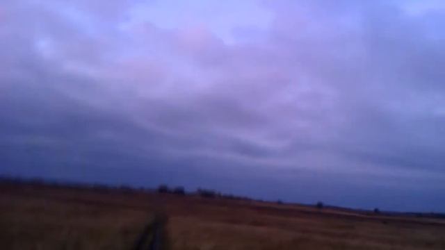 Голубь сидел на ветке, размышляя о бытии смотреть онлайн