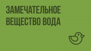 Замечательное вещество вода. Видеоурок по окружающему миру 3  класс