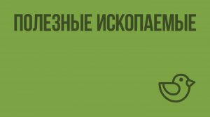 Полезные ископаемые. Видеоурок по окружающему миру 3 класс