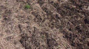 Сев сои. Нестандартные решения в ноутиле.