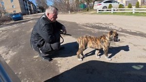 Возили Джесси на первую прививку