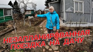 НЕЗАПЛАНИРОВАННАЯ ПОЕЗДКА НА ДАЧУ