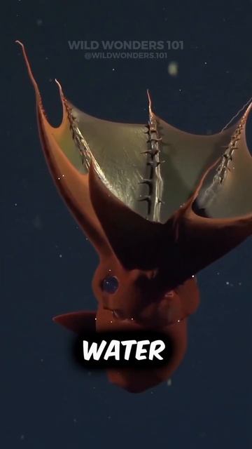 mysterious vampire squid facts #deepsea #seacreatures #shorts #animalfacts смотреть онлайн