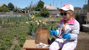 Цветник из старого бочонка