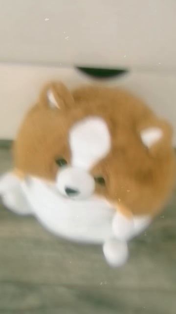 Толстая собака смотреть онлайн