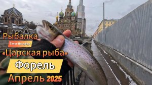 ПОЙМАЛ на Дропшот ФОРЕЛЬ река МОЙКА АПРЕЛЬ 25Г СНЕГ ВЕТЕР ВТОРОЙ ВЫХОД НА РЫБАЛКУ на открытую воду