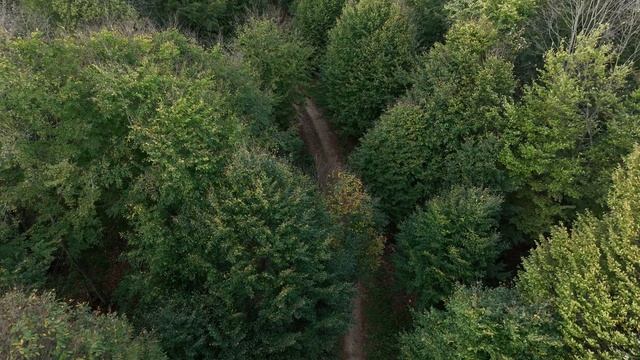 19932523-uhd_3840_2160_50fps