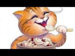 Делаю пельмени вечером, утро следующего дня.