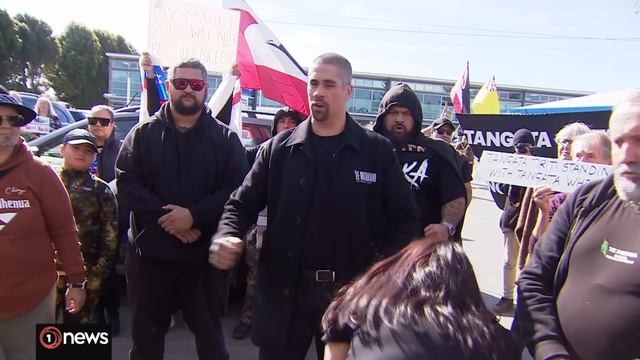 Protests as Kaipara District Council decides to scrap its Māori ward | 1News on TVNZ+ смотреть онлайн