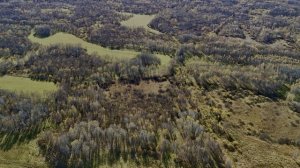 Осенние пейзажи. Охота на боровую дичь