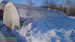 Теплица из пленки  Испытания зимой