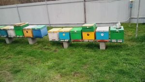 6 апреля