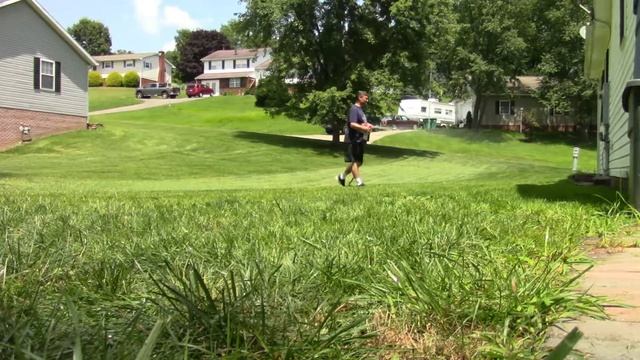 Killing Fleas, Ticks, and Grubs in the Lawn смотреть онлайн