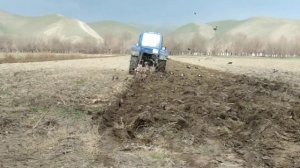 Мтз 80 пахата