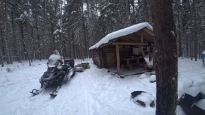 УТРО В ТАЙГЕ!ЗИМНИЙ ЛЕС!КРАСОТИЩЕ!