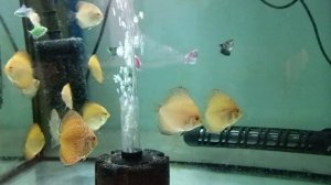 Дискусята рождены 15.01.25.mp4