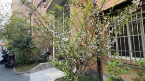 ДОБРОЕ УТРО КИТАЙ  ЕДА И ПУТЕШЕСТВИЯ ПО КИТАЮ ИНТЕРЕСНЫЕ МЕСТА T #китай #еда #обзоры #путешествия