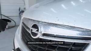 Как удалить пятна от насекомых с кузова авто - Fly Fix | Smart Open