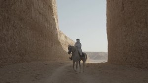 19102791-uhd_3840_2160_24fps