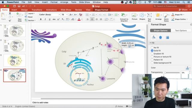 Draw Golgi Apparatus in Powerpoint | Scientific Illustration | Graphical Abstract