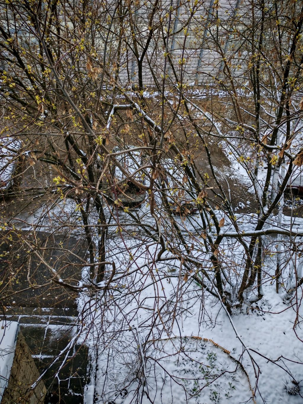 Рассказы из жизни