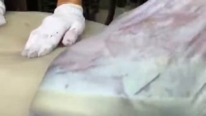 Разделка огромного кальмара  (切割一个巨大的鱿鱼)